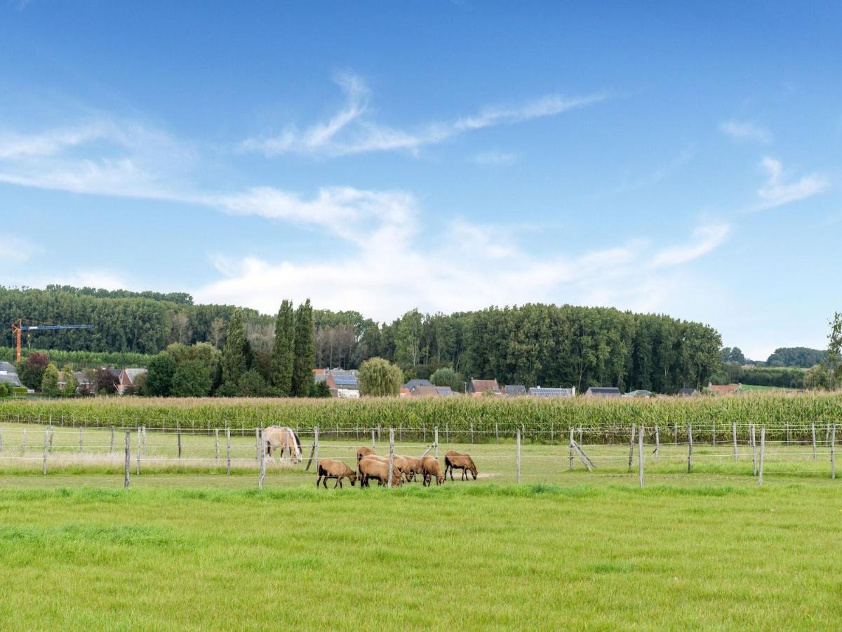 Stunning Holiday Home In Oombergen With Terrace And Garden Zottegem Exteriör bild